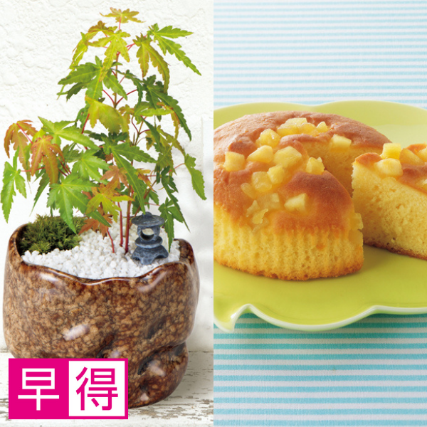 【早得】新月バラ園 親父の手（SUSTEE付）＋東京堂の焼き甘芋チーズケーキ【父の日】 商品サムネイル